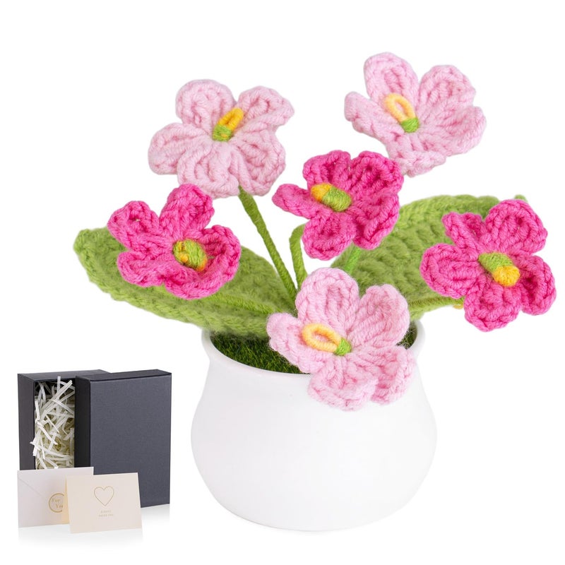 LAIDANLA Crochet Flowers Forget Me Not Small Gradient Pink Gifts for Women Handmade Anniversary Graduation Birthday Gifts for Mom Teacher Friends Coworker Knitted Flower Potted for Desk Accessories - Image 1