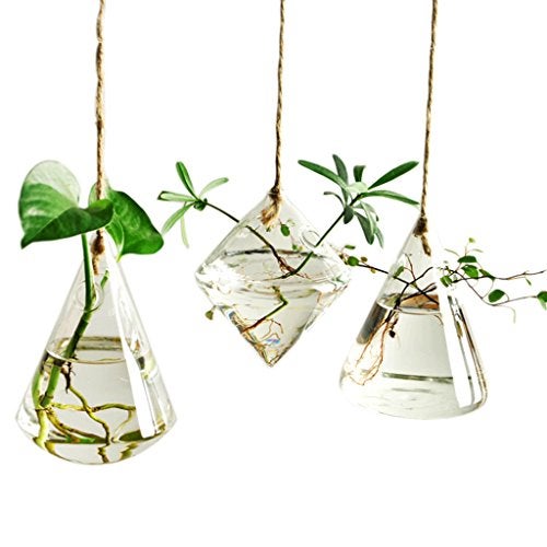 IVOLADOR I Glass Hanging Planter Plant Terrarium Hanging Propagation Station Container for Hydroponic Plants Home Garden Decor 3 Type