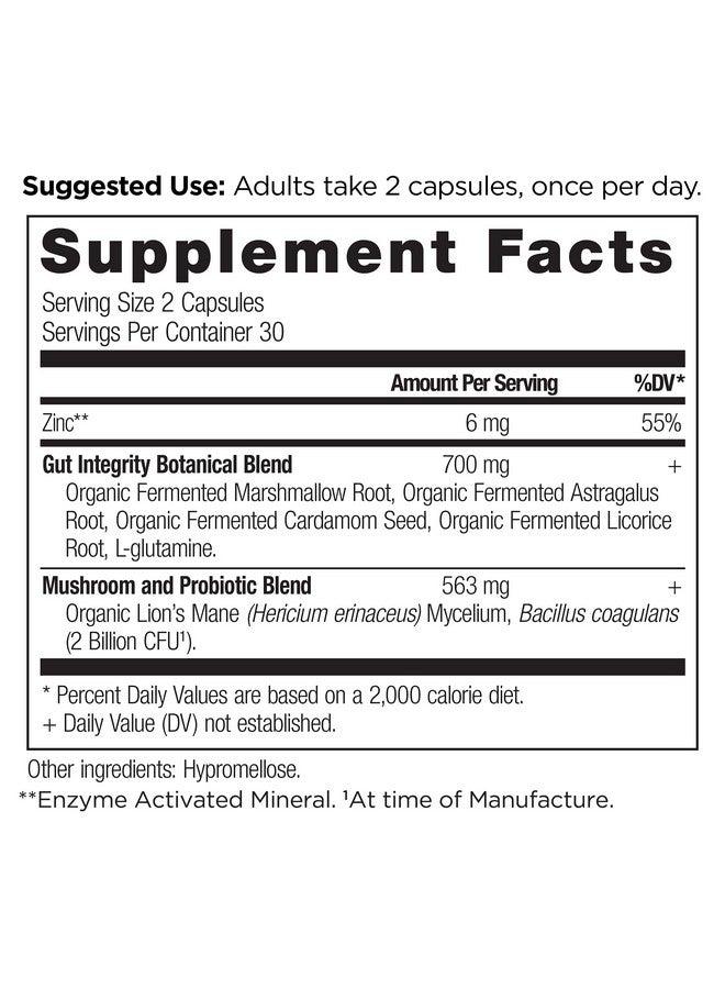 آينشنت نيوترشن كبسولات مكمل غذائي لصحة الأمعاء من Ancient Nutrition لعلاج تسرب الأمعاء، 60 كبسولة، تركيبة تحتوي على جذر عرق السوس، والأستراغالوس، والمارشميلو، وL-Glutamine، خالية من الغلوتين، ومناسبة لحمية الباليو والكيتو، 60 كبسولة - Image 2