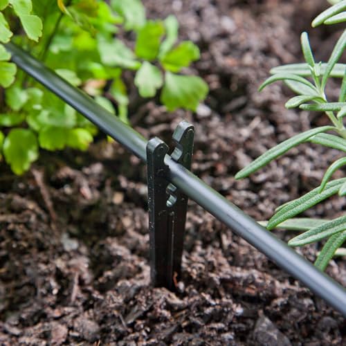 Raindrip 381025B 1/8-Inch - 1/4-Inch Heavy-Duty Tubing Support Stake for Drip Irrigation Supply Tubing and Drip Systems, 6-Inch Long, Plastic, 25-Pack, Black - Image 4