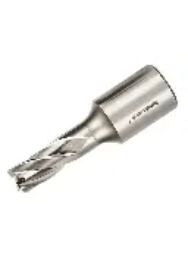 ريشة دريل مغناطيس حديد 12 مم قصيرة إنكليزي