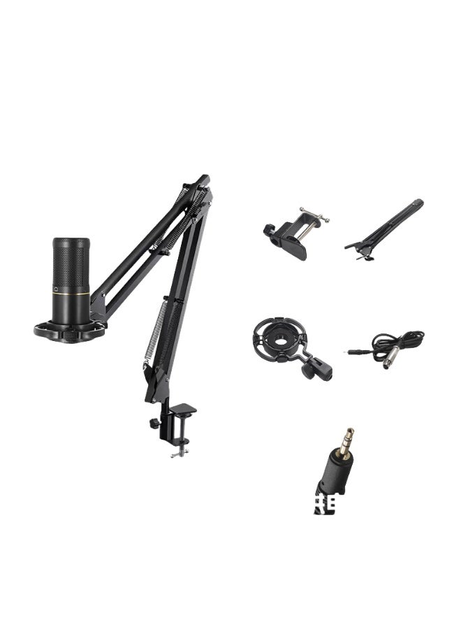 EBMINI New Professional Home KTV Singing Recording Home Karaoke Microphone