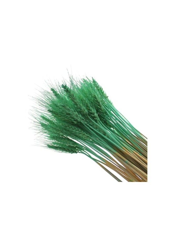 Generic Natural Dried Wheat Grass Artificial Bundle Bouquet  (Green, 100)  - Image 3