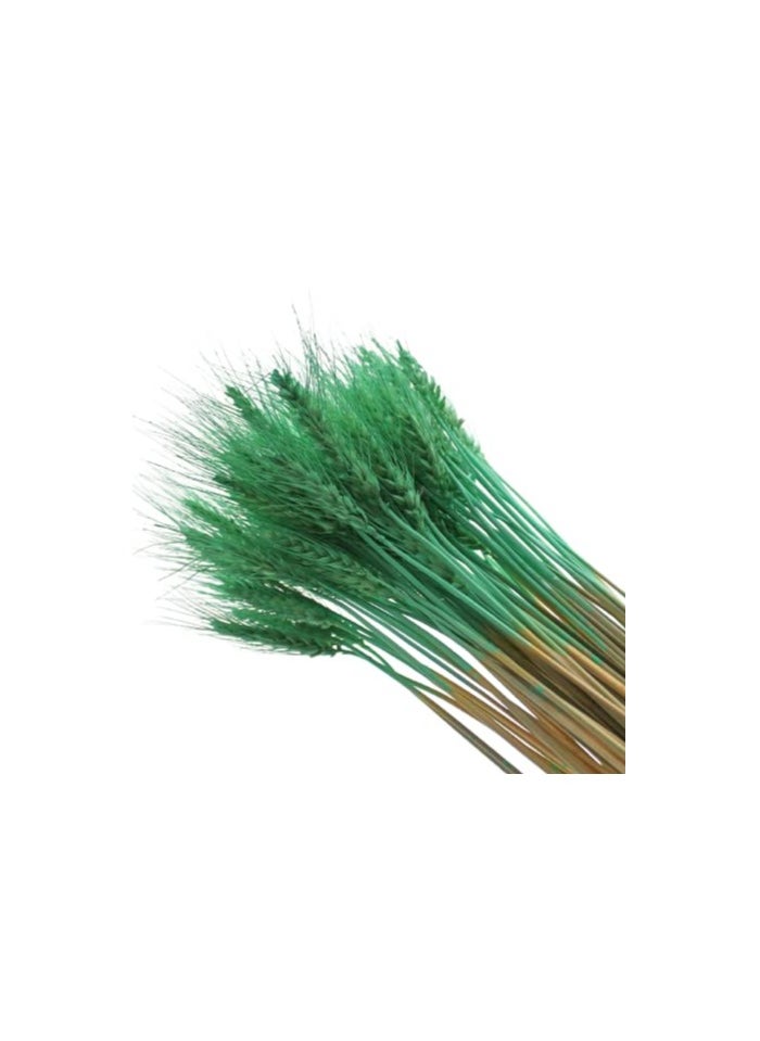 Generic Natural Dried Wheat Grass Artificial Bundle Bouquet  (Green, 100)  - Image 5