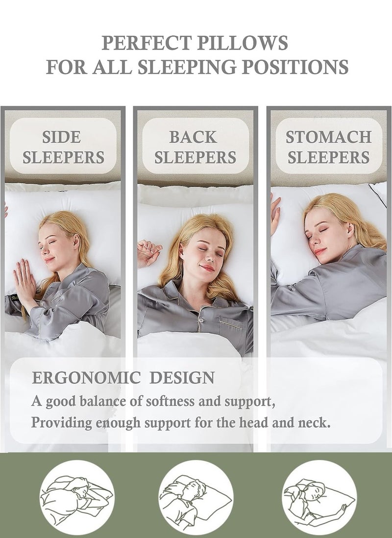 2 Piece Pack Cotton Bed Pillow - Single Piping Cotton Pillow 50x70cm Made in Uae