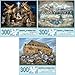 Bits and Pieces Value Set of Three 300 Piece Jigsaw Puzzles for Adults Large Piece 300 pc Christian Jigsaws by Artist Ruane Manning 18 x 24 - Image 2
