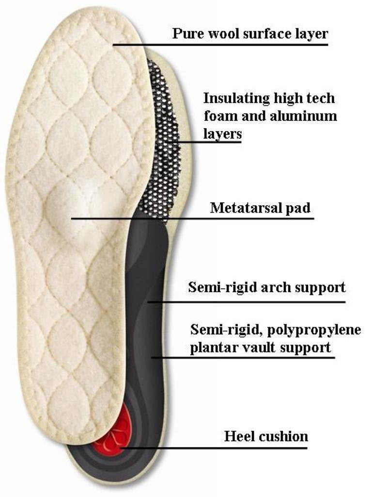 Pedag Viva Winter | Insulating Insoles | Made in Germany | Heel Cushion, Longitudinal & Metatarsal Arch Support | Boost Warmth & Comfort | 1 Pair | Women US 8/ EU 38 - Image 3