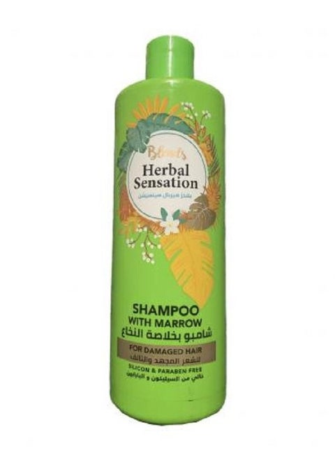 بليندس هيربل سينساشن - شامبو بالنخاع - 600 مل