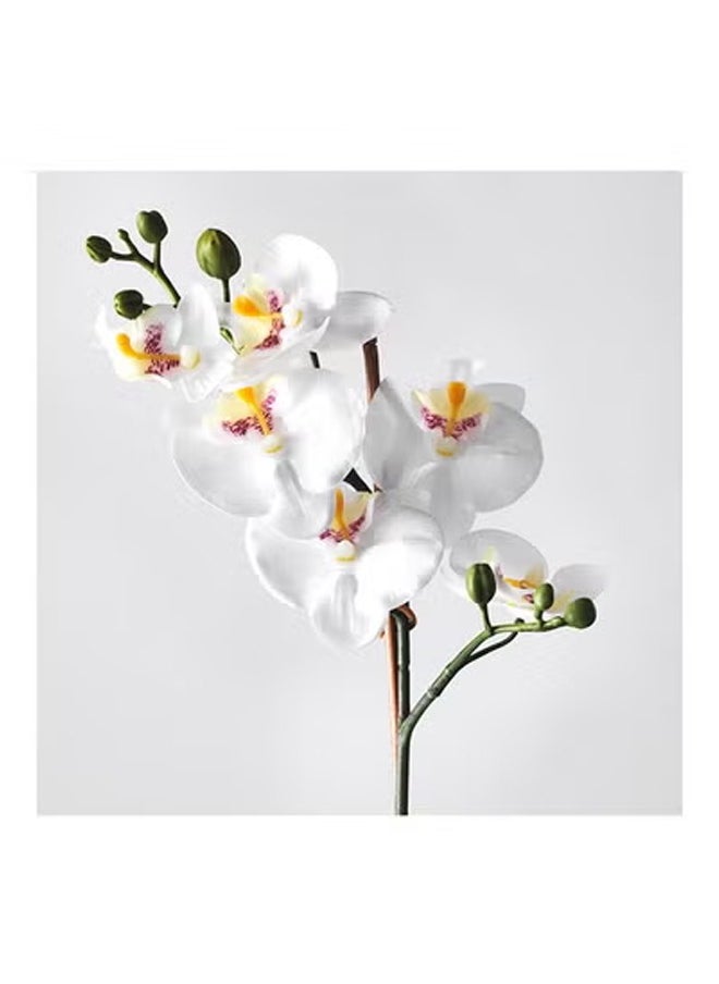 Generic Fejka Artificial Orchid White Plant With Pot Orchid white 38cm  - Image 2