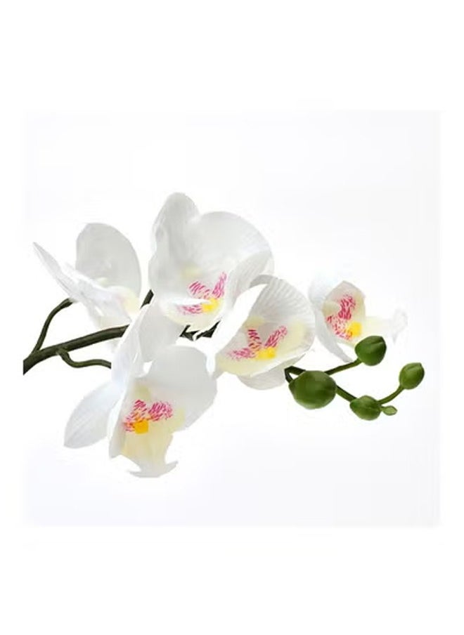 Generic Fejka Artificial Orchid White Plant With Pot Orchid white 38cm  - Image 3