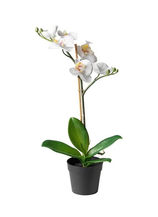 Generic Fejka Artificial Orchid White Plant With Pot Orchid white 38cm  - Image 1