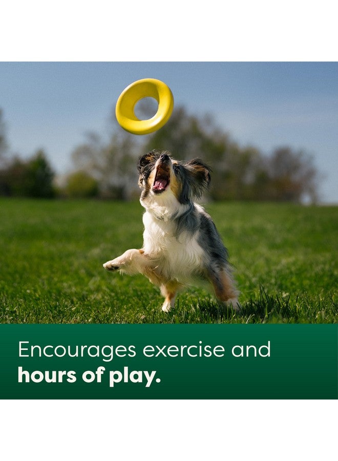 إيرث ريتد لعبة قرص طائر مُصممة خصيصًا للكلاب والجراء، ألعاب تفاعلية للكلاب، يطفو على الماء على شكل صحن، حجم صغير، لون أصفر - Image 4