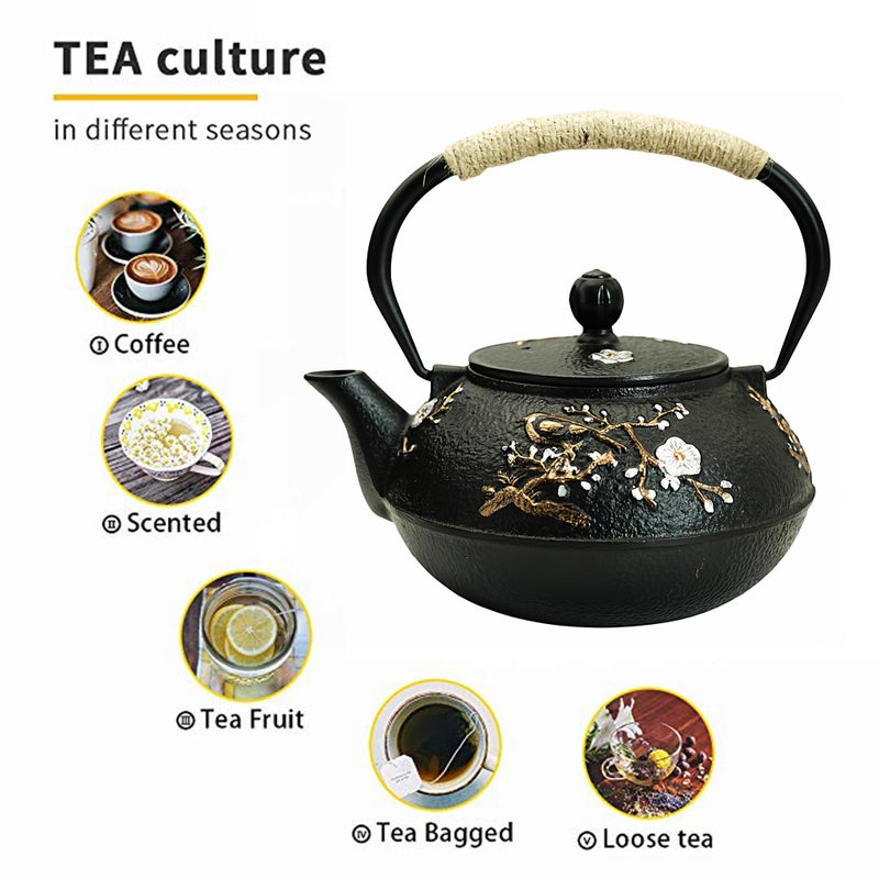 YJX 27oz Small Cast Iron Teapot for Stovetop, Japanese Tetsubin with Enamel, Beautiful Decorative Tea Pot, Durable Tea Kettle with Stainless Steel Infuser for Loose Tea(800ML) - Image 4
