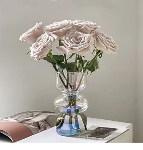JSPYFITS Glass Hydroponic Flower Vase, 7 Inches Colored Glasses Bubble Vase for Flower, Three-Layer Glass Funky Vases for Home/Office/Weddings/Party Table Flowers Decor (Iridescent Clear) - Image 1