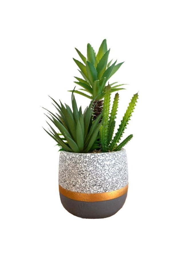 Artificial Succulent and Cactus Mixed Plant in Decorative Pot, Green, 27 cm - Image 1