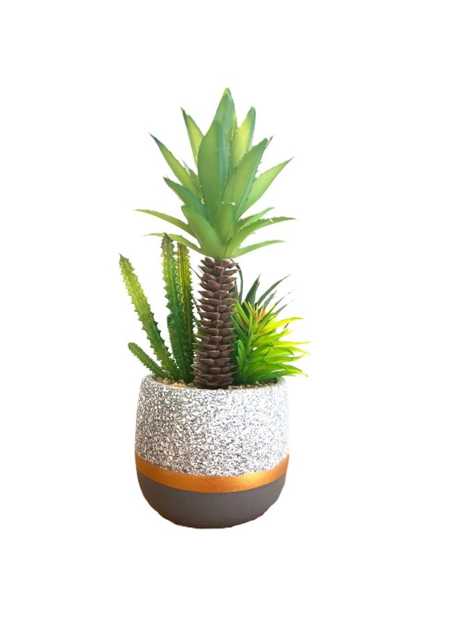 Artificial Succulent and Cactus Mixed Plant in Decorative Pot, Green, 27 cm - Image 2