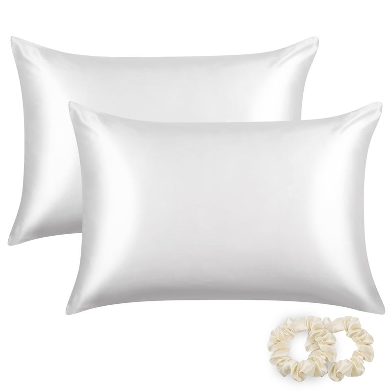 ALASKA BEAR Silk Pillowcase for Hair and Skin, Set of 2 Pure Genuine 22 Momme Mulberry Silk Pillow Cases Standard Size for Bliss Sleep Better Than Poly Satin, Zipper Closure(2pc, Cool White) - Image 1