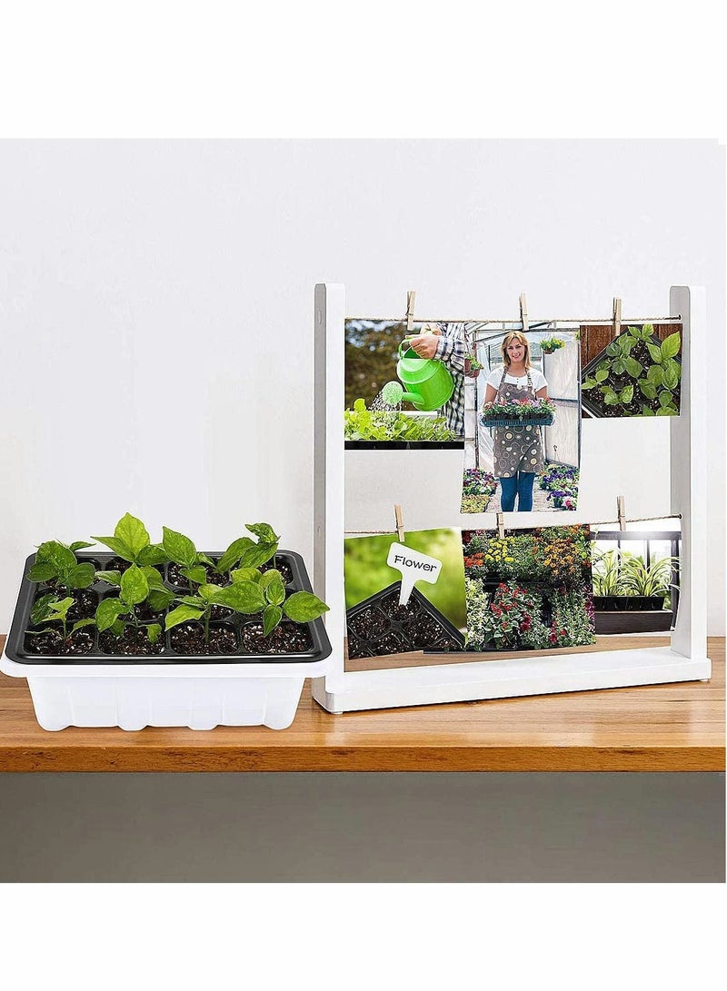SYOSI pack of 10 seed sprouting trays-germination trays-planting seedling trays-crop cultivation trays-healthy wheat grower (12 germination boxes) - Image 2