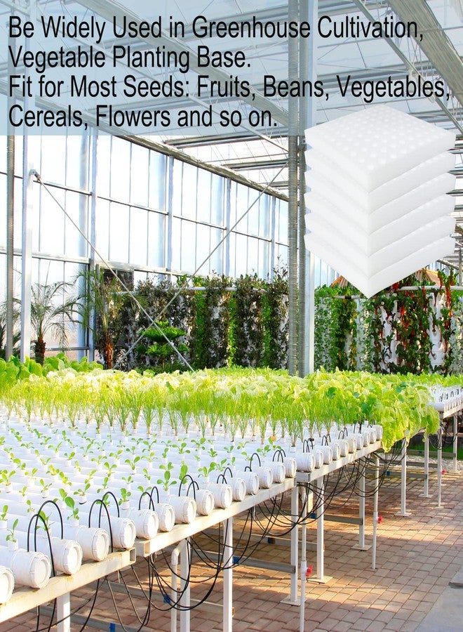 Tongnian 600 قطعة من إسفنجات تونغنيان للزراعة المائية، أداة زراعة بدون تربة، إسفنجات مربعة لنمو البراعم الصغيرة - Image 5