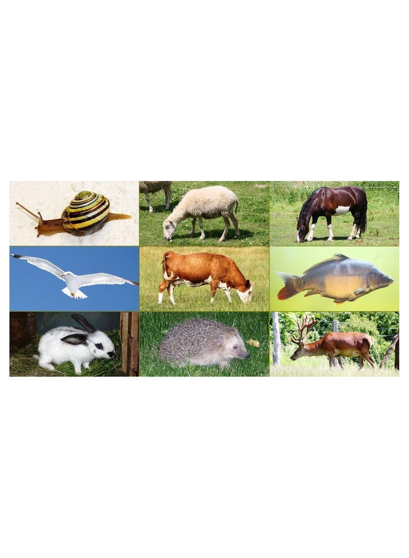 Educo Half Animals Memo Puzzle Discover And Match 9 Animals - Image 1