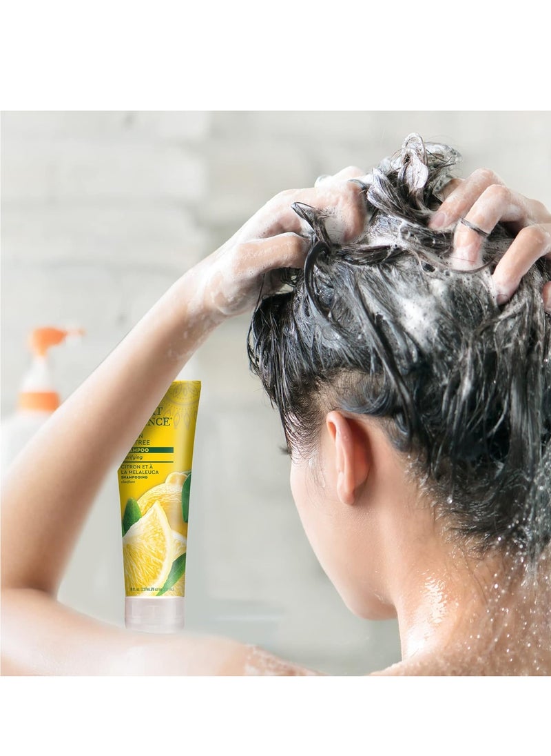 DESERT ESSENCE Desert Essence Lemon Tea Tree Shampoo - 8 Fl Ounce - Removes Excess Oil - Revitalizes Scalp - Strengthens & Protects Hair - Maca Root Extract - Soft, Smooth & More Manageable  - Image 4