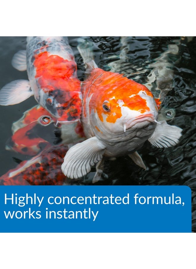 ايه بي آي مُعالج مياه البرك API Pond Aqua Essential سعة 32 أونصة  - Image 4