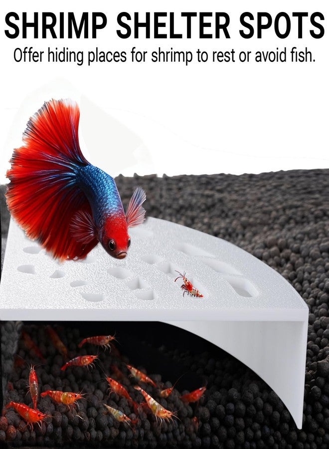 HERPDEN Shrimp Cave 2-Pack - Space-Saving Fan-Shaped Aquarium Cave Decor with 180° Wide-View Design, Compact Fish Tank Accessories for Cherry/Dwarf Shrimp (White) - Image 2