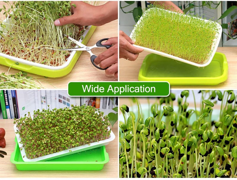 SHEING Seed Sprouter Tray 5 Pack, BPA Free Nursery Tray Seed Germination Tray Healthy Wheatgrass Seeds Grower & Storage Trays for Garden Home Office,Polypropylene (PP),Green,Grey - Image 2