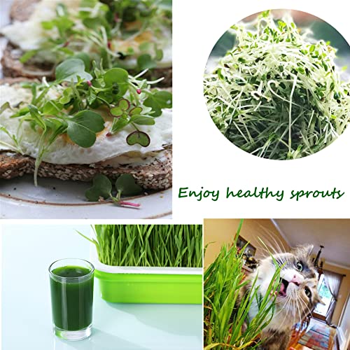 SHEING Seed Sprouter Tray 5 Pack, BPA Free Nursery Tray Seed Germination Tray Healthy Wheatgrass Seeds Grower & Storage Trays for Garden Home Office,Polypropylene (PP),Green,Grey - Image 5