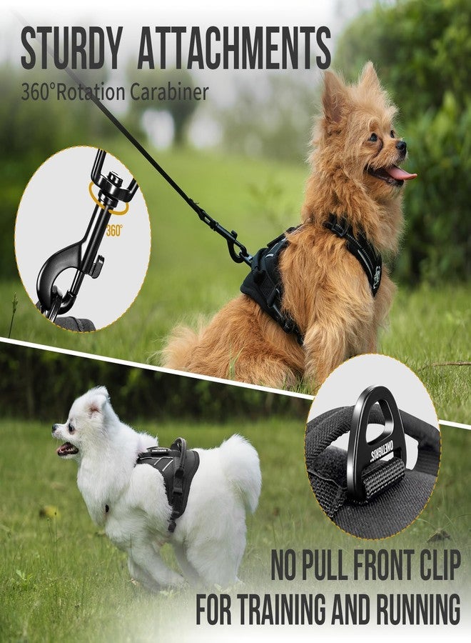 OneTigris Dog Harness for Small Medium Dogs No Pull, Puppy Harness and Leash Set, Easy Walk Dog Harness for Walking, Running, Training, ANTZ Small Dog Harness, Medium Dog Harness(Black, XXS) - Image 3