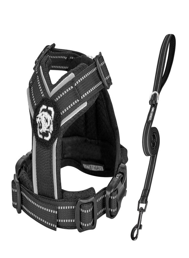 OneTigris Dog Harness for Small Medium Dogs No Pull, Puppy Harness and Leash Set, Easy Walk Dog Harness for Walking, Running, Training, ANTZ Small Dog Harness, Medium Dog Harness(Black, XXS) - Image 1