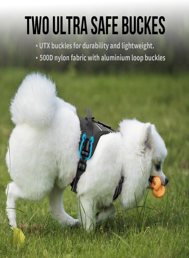 OneTigris Dog Harness for Small Medium Dogs No Pull, Puppy Harness and Leash Set, Easy Walk Dog Harness for Walking, Running, Training, ANTZ Small Dog Harness, Medium Dog Harness(Black, XXS) - Image 2