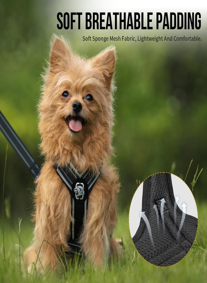 OneTigris Dog Harness for Small Medium Dogs No Pull, Puppy Harness and Leash Set, Easy Walk Dog Harness for Walking, Running, Training, ANTZ Small Dog Harness, Medium Dog Harness(Black, XXS) - Image 4