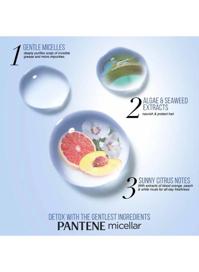 بانتين شامبو بانتين  لتنقية وترطيب فروة الرأس – 300 مل - Image 3