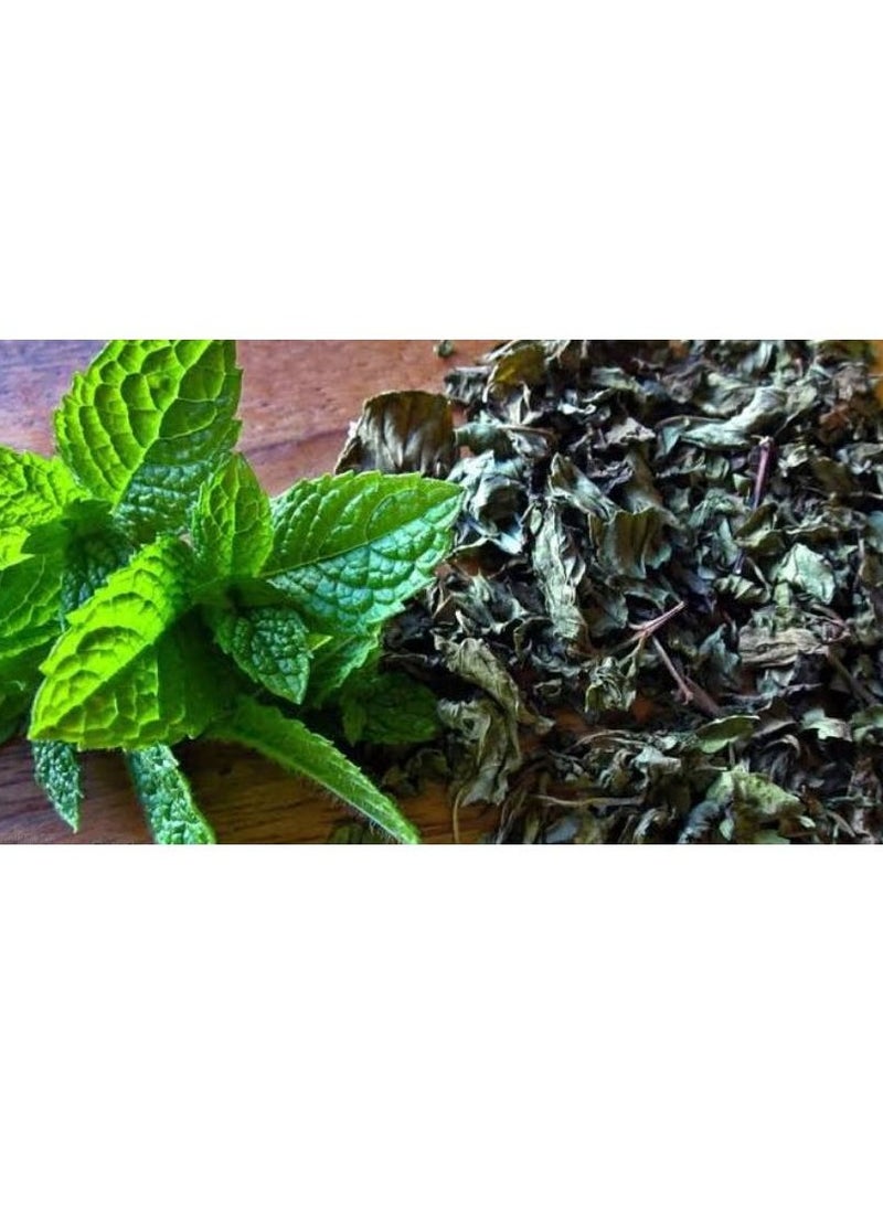 هيربز نعناع مجفف طبيعي 100% – وزن 500 جرام – جودة عالية ورائحة منعشة - Image 3