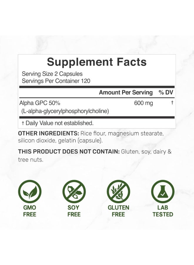 DEAL SUPPLEMENT Alpha GPC 600 mg Per Serving, 240 Capsules – Alpha GPC Choline Supplement – 120 Servings – Non-GMO, Gluten Free - Image 2