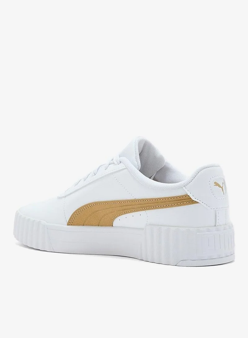 بوما كارينا 3.0 أكوا ميتاليكس