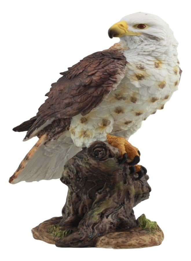 Ebros Gift Ebros Realistic Wildlife Yellow Tailed Hawk Perching On Tree Stump Statue Birds of Prey Decorative Figurine 10" Tall - Image 2