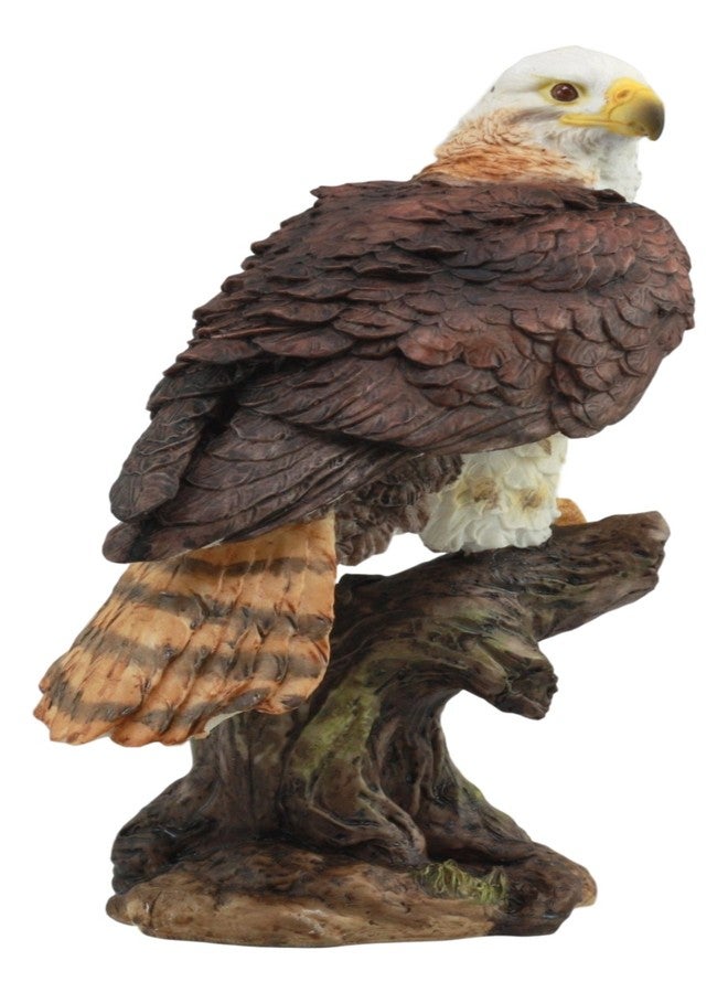 Ebros Gift Ebros Realistic Wildlife Yellow Tailed Hawk Perching On Tree Stump Statue Birds of Prey Decorative Figurine 10" Tall - Image 5