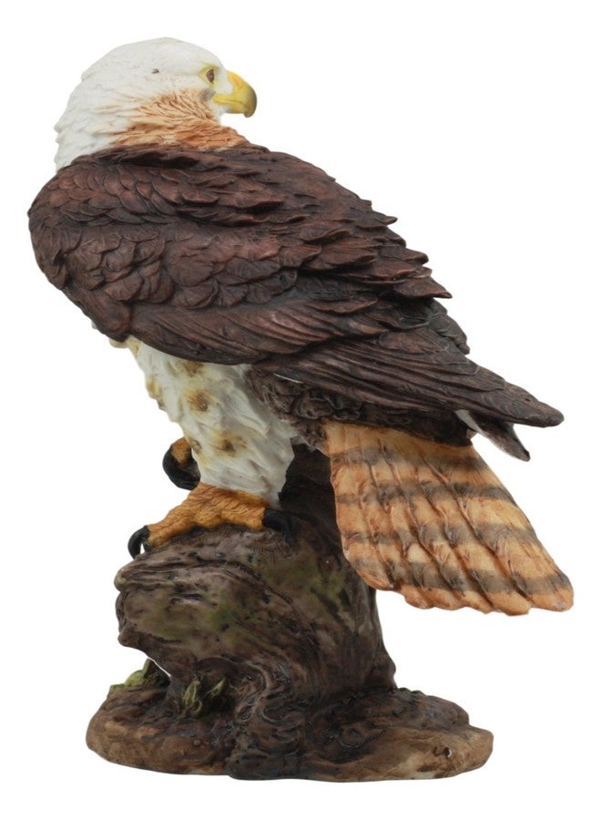 Ebros Gift Ebros Realistic Wildlife Yellow Tailed Hawk Perching On Tree Stump Statue Birds of Prey Decorative Figurine 10" Tall - Image 4