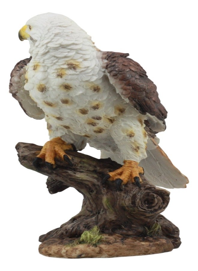 Ebros Gift Ebros Realistic Wildlife Yellow Tailed Hawk Perching On Tree Stump Statue Birds of Prey Decorative Figurine 10" Tall - Image 3