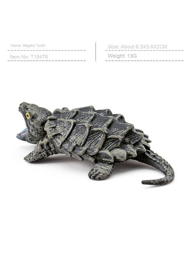 NIBEMINENT Realistic Amphibious Reptile Turtle Model