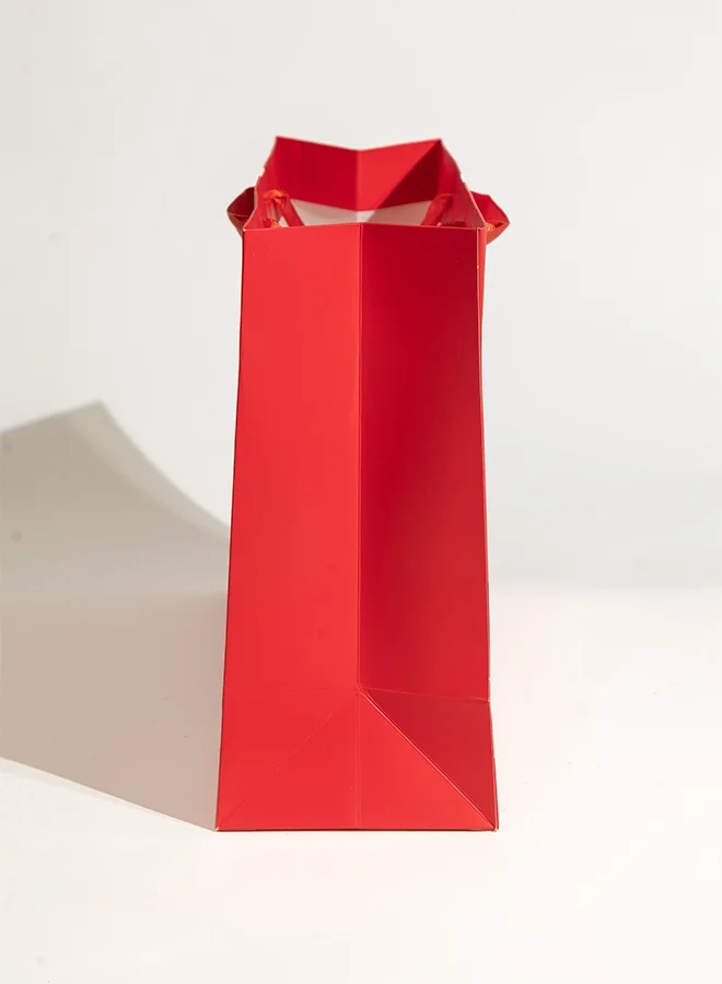 Share the Love Santa Suit, Christmas Gift Bag, X-Large