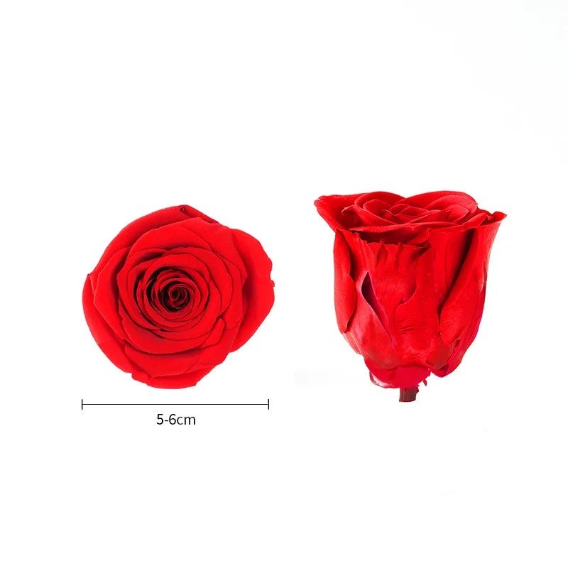 Bluejw 5-6cm Natural Dried Roses B Grade for DIY Crafts & Valentine's/Mother's Day Decor - Fresh Dried Plants - Image 4