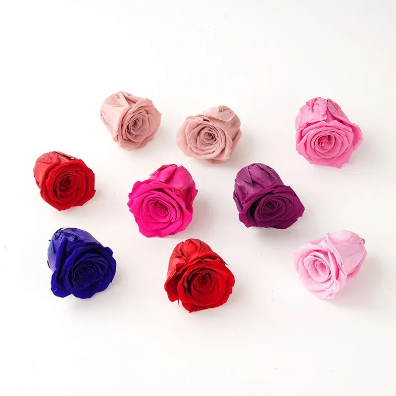 Bluejw 5-6cm Natural Dried Roses B Grade for DIY Crafts & Valentine's/Mother's Day Decor - Fresh Dried Plants - Image 5
