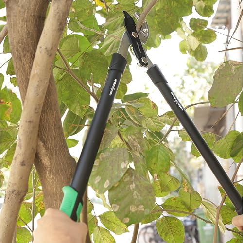 Urbain Green 30" Gardening Gear Anvil Lopper with 40mm Cutting Capacity, Carbon Blade with Teflon Coating, Steel Handles with Tpr Grip – Professional Garden Pruner & Tree Trimmer by Sharpex (Black) - Image 5