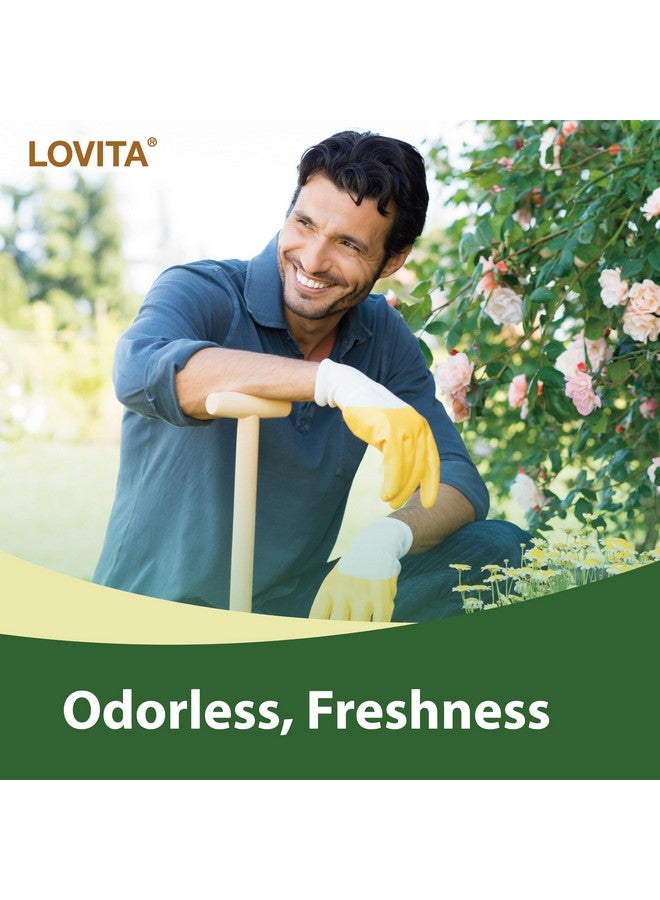 Lovita Odorless Garlic Extract | 50 mg, 100:1 High Concentrate | 1.25% Allicin | Gluten-Free | Support Immune & Cardiovascular Health | 60 Vegan Capsules (Pack of 3) - Image 5