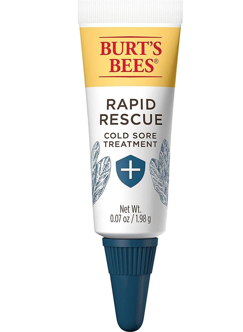 Burt's Bees Rapid Rescue Cold Sore Treatment with Rhubarb and Sage Complex 0.07 Ounce - Image 1