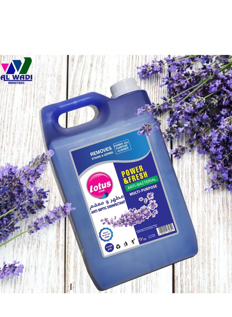 Lotus Alwadi Lotus Alwadi Anti-Septic Disinfectant Floor Cleaner, 3 Gallons/Carton (3x5L) | Made with Naturally-Derived Ingredients | Safe to Use on All Surfaces | Perfect for Mop Buckets - Image 2