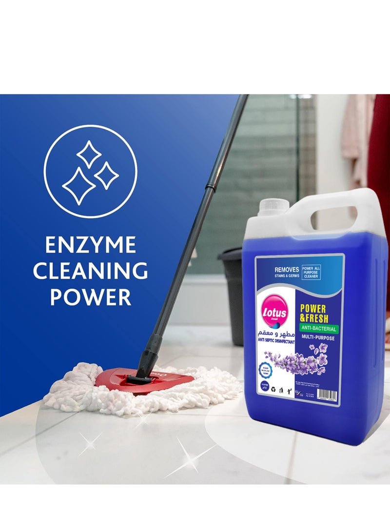 Lotus Alwadi Lotus Alwadi Anti-Septic Disinfectant Floor Cleaner, 3 Gallons/Carton (3x5L) | Made with Naturally-Derived Ingredients | Safe to Use on All Surfaces | Perfect for Mop Buckets - Image 3